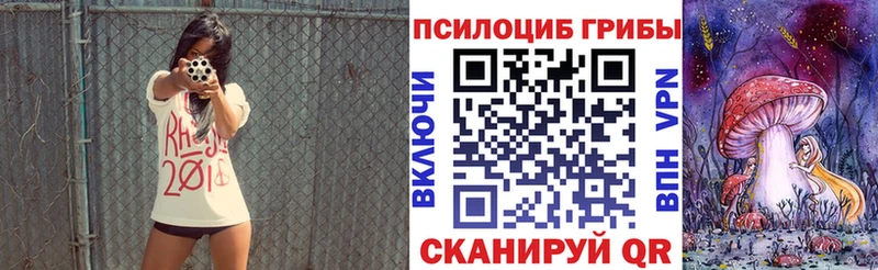 Псилоцибиновые грибы Psilocybine cubensis  купить закладку  Кувандык 